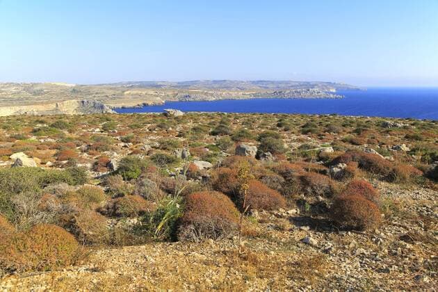 Coastal scenery vegetation blue sea looking south from Res il-Qammieh, Marfa Peninsula, Republic of Malta www.geographyphotos.com 968_14_17idm1768