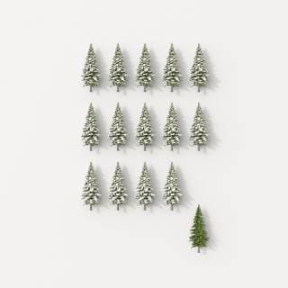 3D rendering, Rows of fir trees on white background, with one green one, standing out  UWF01468