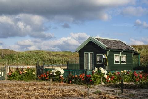 Garten in den Duenen bei Bergen, Niederlande, Nordholland, Bergen garden in the dunes az village Bergen, Netherlands, Northern Netherlands, Bergen BLWS498619 Copyright: xblickwinkel AGAMI M.xGuytx