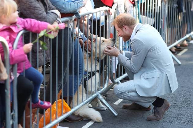 Entertainment Bilder der Woche KW40 Entertainment Bilder des Tages . 03 10 2018. Chichester, Sussex , United Kingdom. Prince Harry and Meghan Markle, The Duke and Duchess of Sussex , on a walkabout in Chichester,Sussex, United Kingdom. .  xPoolx xi-Imagesx IIM-18578-0052