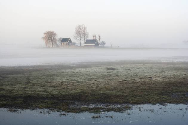 Bauernhof im Morgennebel bei Ouderkerk, Niederlande, Nordholland, Ouderkerk House surrounded by trees in a foggy landscape at Ouderkerk, Netherlands, Northern Netherlands, Ouderkerk BLWS498992 Copyright: xblickwinkel AGAMI M.xGuytx