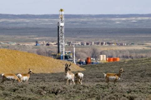 IMAGO Nature: Unsere Erde, Umweltverträgliche Herausforderungen des 21. Jahrhunderts, Fracking Pronghorn antelope are threatened by oil and gas development in the Upper Green River basin as the industrial development eats up their winter range. The Pinedale area in NW Wyoming is experiencing a huge natural gas boom., Pinedale Wyoming USA Copyright: TedxWood 9927600002