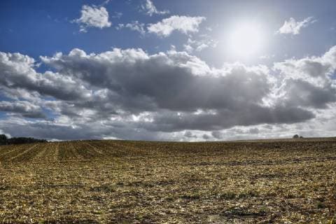 Dunkle Wolken Ã¼ber einem gehÃ¤ckselten Maisfeld in Klingberg, Schleswig-Holstein, Symbolfoto SommerdÃ¼rre und ErnteschÃ¤den