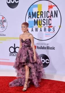 Singer Halsey arrives for the 46th annual American Music Awards at the Microsoft Theater in Los Angeles on October 9, 2018.  LAP20181009456 JIMxRUYMEN
