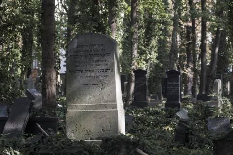 Jüdischer Friedhof an der Schönhauser Allee in Berlin Prenzlauer Berg Jüdischer Friedhof in Berlin-Prenzlauer Berg