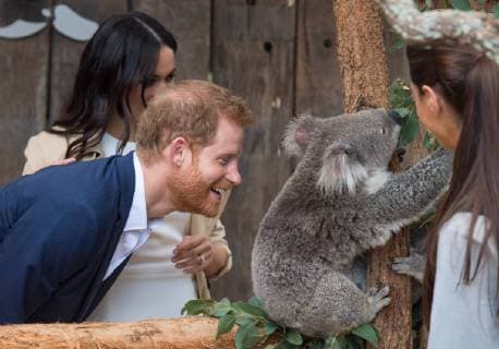 Entertainment Bilder der Woche KW42 Entertainment Bilder des Tages . 16 10 2018. Sydney, Australia. Prince Harry & Meghan Markle, the Duke and Duchess of Sussex meet a Koala called Ruby during a visit to Taronga Zoo in Sydney, Australia, on the first day of their Royal Tour.  xPoolx xi-Imagesx IIM-18656-0072
