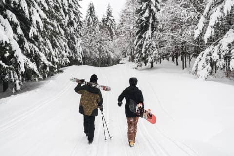 Italy, Modena, Cimone, rear view of couple with skiers and snowboard walking in winter forest model released Symbolfoto  JPIF00011