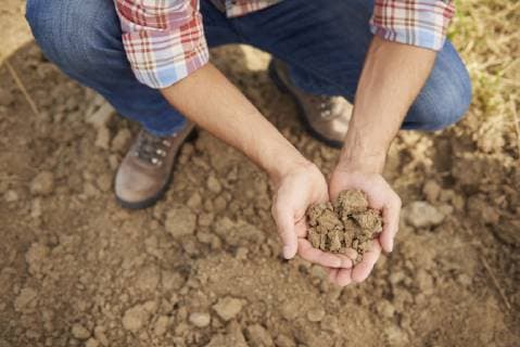Farmer holding soil in his hands model released Symbolfoto  ABIF00942