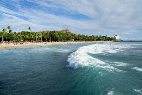 Panoramic View Of Waikiki Beach In Honolulu, Honolulu Hawaii USA Copyright: SeanxDavey DASE000161