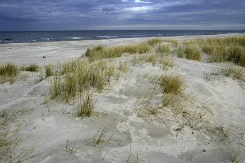 Slowinski National Park, Lebsko Lake, Pomerania, Poland, Slowinski Leba, Baltic coast Poland Copyright: DavidxSantiagoxGarcia GADA014120