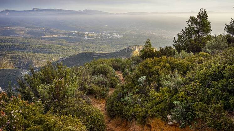 view of garrigue landscape on a winter morning at sunrise with little fog in the background and ocher soil, close to La Ciotat in the South of France, La Ciotat Provence-Alpes-CÃ te d Azur France Copyright: RaffixMaghdessian MARA001175
