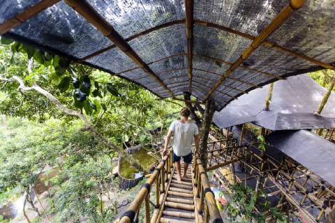 IMAGO Creative, Leben im Bamhaus Young man walking on bridge connecting two tree houses, Bali, Indonesia, Candidasa Bali Indonesia model released Symbolfoto Copyright: KonstantinxTrubavin TRKO017698