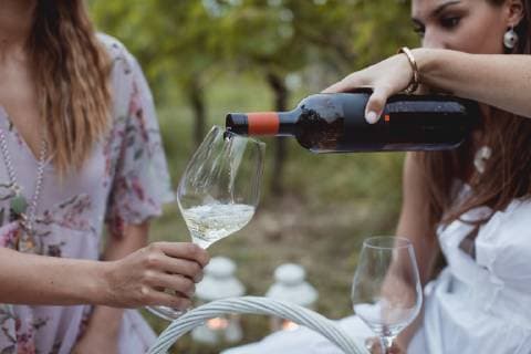 IMAGO Creative, Sommer, Weinfeste und Weinwanderungen Woman pouring wine in glass on a picnic in nature model released Symbolfoto  MAUF01630