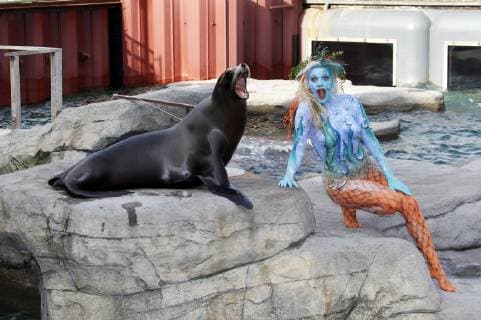 Aus dem FARBKÖRPER: Bodypainting-Facetten Kalender 2019 - Meerjungfrau Photoshooting mit Model Daniela als Nixe mit Seelöwe in der Yukon Bay Themenwelt vom Erlebnis-Zoo Hannover - FARBKÖRPER ist ein Projekt des Fotografen Tschiponnique Skupin das die Vielseitigkeit des Bodypainting zeigt, Painting von Jörg Düsterwald