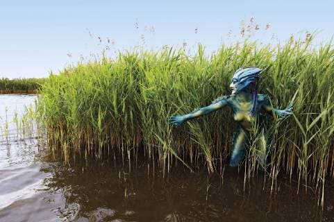 Aus dem FARBKÖRPER: Bodypainting-Facetten Kalender 2019 - Seeungeheuer Fotoshooting mit Model Janina als See-Kreatur im Steinhuder Meer bei Großenheidorn - FARBKÖRPER ist ein Projekt des Fotografen Tschiponnique Skupin und des Bodypainters und Transformakers Enrico Lein das die Vielseitigkeit des Bodypainting zeigt