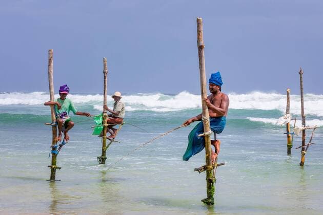 Stelzenfischer, Weligama, Matara District, Südliche Provinz, Sri Lanka, Asien Copyright: imageBROKER/KimxPetersen iblkip04771230.jpg