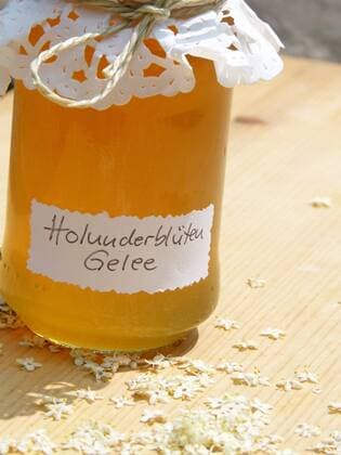Holunderblütengelee selbstgemacht - Elderflower jelly homemade
