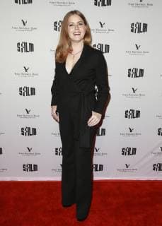 SAN FRANCISCO, CA - DEC 03: Actress Amy Adams attends the 2018 SFFilm Awards Night at The Palace of Fine Arts Exhibition Center on December, 3, 2018 in San Francisco, California. Photo: Christopher Victorio imageSPACE MediaPunch Copyright: ximageSPACEx