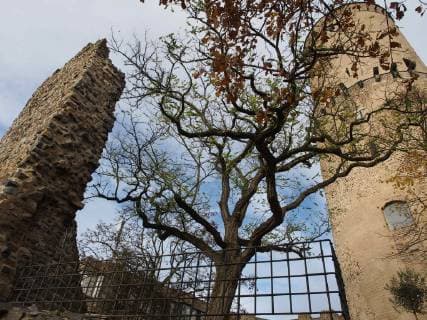 Architektur von Gottfried Böhm November 14, 2017 - Bonn, North Rhine-Westphalia, Germany - Autumn view of the tower and ruins of the Godesburg castle in Bad Godesberg in Bonn, Germany Bonn Germany - ZUMAg240 20171114_zip_g240_011 Copyright: xCarlosxGarciaxGranthonx