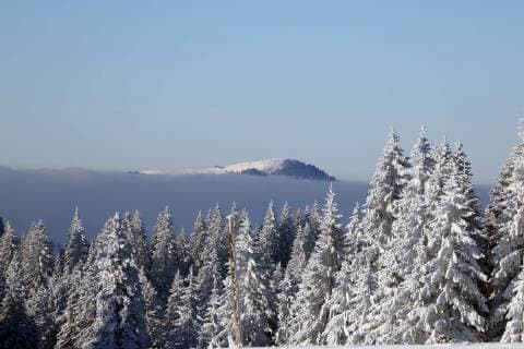 Feldberg Winterimpressionen aus der Feldberg-Region Blick vom Leistungszentrum Herzogenhorn am Feldberg (Baden-Württemberg) über verschneite Tannen und die Nebelschicht zum Belchen - Winterimpressionen aus der Feldberg-Region *** Feldberg Winter impressions from the Feldberg region View from the Herzogenhorn performance centre on the Feldberg Baden Württemberg over snow-covered fir trees and the fog layer to the Belchen Winter impressions from the Feldberg region Copyright: xHahnex Eibner-Pressefotox EP_joha