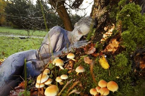 Aus dem FARBKÖRPER: Bodypainting-Aspekte Kalender 2019 - Natur-Photoshooting mit Model Mandy als Waldgeist im Saupark in Springe - FARBKÖRPER ist ein Projekt des Fotografen Tschiponnique Skupin das die Vielseitigkeit des Bodypainting zeigt, Painting von Jörg Düsterwald