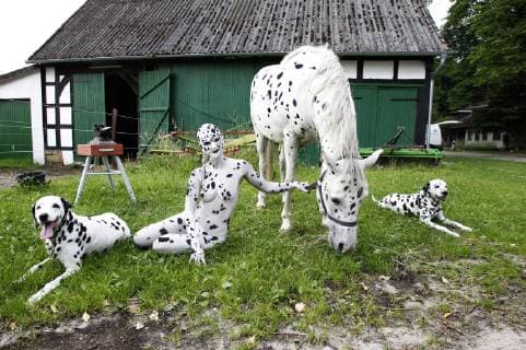 Aus dem FARBKÖRPER: Bodypainting-Aspekte Kalender 2019 - Dalmatiner-Photoshooting mit Model Jessy und Pferd Shadow und Hunden auf einem Bauernhof bei Bielefeld - FARBKÖRPER ist ein Projekt des Fotografen Tschiponnique Skupin das die Vielseitigkeit des Bodypainting zeigt, Painting von Jörg Düsterwald