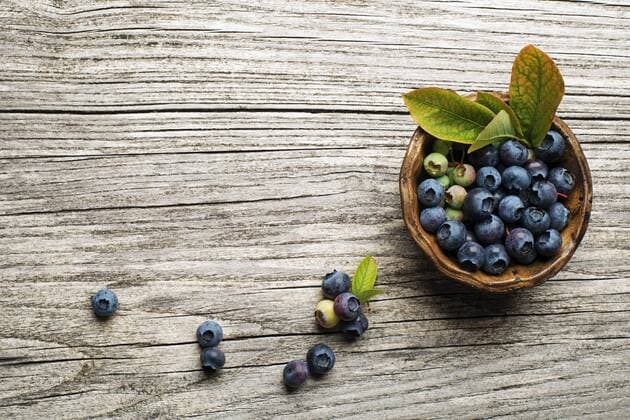  Blueberry  Copyright: xzidix Panthermedia19760221