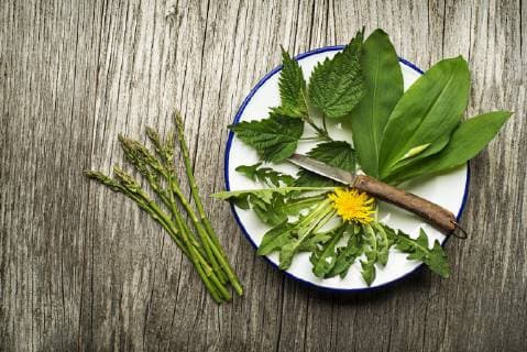  Healthy food  Copyright: xzidix Panthermedia21361494