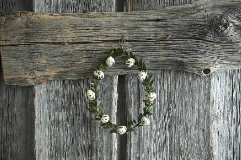 Wreath of box tree twigs with quail eggs in front of rustic wooden wall  ASF06239