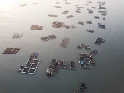 IMAGO Creative, Unsere Erde, Umweltverträgliche Herausforderungen des 21. Jahrhunderts, Überfischung Indonesia, Lombok, Aerial view of lobster farm  KNTF02235