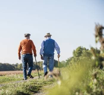 Two old friends taking a stroll through the fields, talking about old times model released Symbolfoto  UUF15449