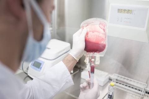 Scientist working with blood bag in lab model released Symbolfoto property released  WESTF23628