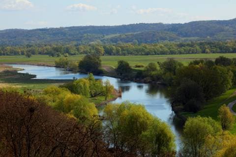 Nationalpark Unteres Odertal bei Stuetzkow, Deutschland, Brandenburg, Uckermark, Unteres Odertal Nationalpark Unteres Odertal National Park at Stuetzkow, Germany, Brandenburg, Uckermark, Unteres Odertal National Park BLWS512297 Copyright: xblickwinkel W.xWillnerx