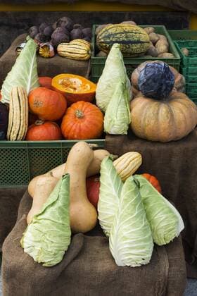  Gemüse, Herbstgemüse, Spitzkohl, Kürbisse, Erntedank, Deutschland, Europa *** vegetables autumn vegetables pointed cabbage pumpkins thanksgiving Germany Europe Copyright: imageBROKER/KonradxWothe ibxwok04810236.jpg