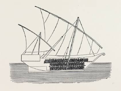 Vessels Used in the Zanzibar Slave Trade: Section of Vessel Showing the Manner of Stowing Slaves on Board 1873  Copyright: LC090411_0335_5