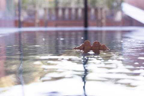 IMAGO Creative: Klub-Sport Toes sticking out of swimming pool, personal perspective  Copyright: Anne-SophiexBost B61703738