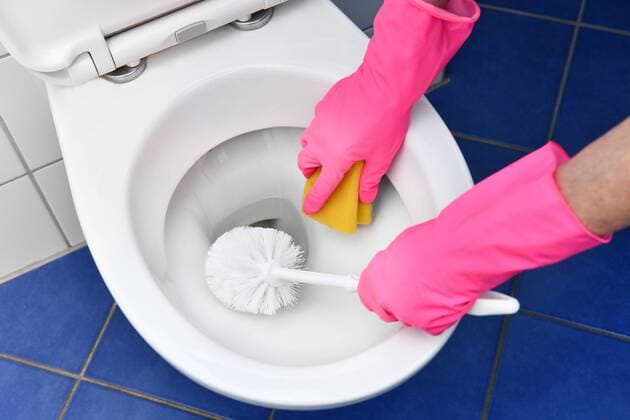 Reinigung, Badezimmer, Toilette *** Cleaning Bathroom Toilet