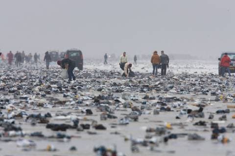 IMAGO Nature: Unsere Erde, Umweltverträgliche Herausforderungen, Plastikmüll Menschen sammeln angeschwemmtes Treibgut nach dem Kentern eines Frachtschiffen, 10.02.2006, Niederlande, Terschelling People collecting cargo spill on the beach, 10.02.2006, Netherlands, Terschelling BLWS515587 Copyright: xblickwinkel AGAMI A.xOuwerkerkx