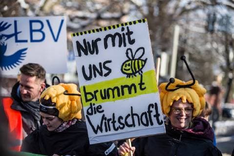 München, Volksbegehren Rettet die Bienen - Demonstration February 5, 2019 - Munich, Bavaria, Germany - Concerned citizens at the Maxmonument in Munich, Germany demonstrate and wear costumes to Save the Bees under the Volksbegehren Artenvielfalt (Species Diversity Initiative). A coalition of numerous political and environmental groups banded together to create an initiative to save the bees (Rettet die Bienen). Under this initiative, all local city halls are open to collect signatures to preserve species diversity (Artenvielfalt). To date, Bavaria has collected 150,000 signatures, with the Feb. 13th the end date..In attendance were: .MARTIN GEILHUFE BN Landesbeauftragter. .MATTHIAS LUY LBV Beauftragter fuer das Volksbegehren. ..LUDWIG HARTMANN, co-head of the Bavarian Green Party. .NATASCHA KOHNEN and MARKUS RINDERSPACHER of the SPD. Munich Germany - ZUMAb160 20190205_zbp_b160_012 Copyright: xSachellexBabbarx
