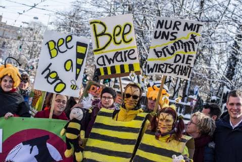 February 5, 2019 - Munich, Bavaria, Germany - Concerned citizens at the Maxmonument in Munich, Germany demonstrate and wear costumes to Save the Bees under the Volksbegehren Artenvielfalt (Species Diversity Initiative). A coalition of numerous political and environmental groups banded together to create an initiative to save the bees (Rettet die Bienen). Under this initiative, all local city halls are open to collect signatures to preserve species diversity (Artenvielfalt). To date, Bavaria has collected 150,000 signatures, with the Feb. 13th the end date..In attendance were: .MARTIN GEILHUFE BN Landesbeauftragter. .MATTHIAS LUY LBV Beauftragter fuer das Volksbegehren. ..LUDWIG HARTMANN, co-head of the Bavarian Green Party. .NATASCHA KOHNEN and MARKUS RINDERSPACHER of the SPD. Munich Germany - ZUMAb160 20190205_zbp_b160_006 Copyright: xSachellexBabbarx