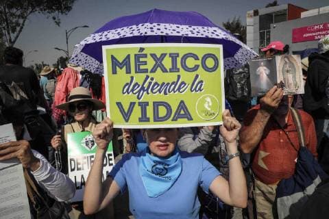 February 7, 2019 - EUM20190207SOC03.JPG .CIUDAD DE MEXICO. ProtestProtesta-Pro Vida.- 7 de febrero de 2019. Aspectos de la protesta de integrantes de la organizacion Pro-Vida de Guanajuato en contra del aborto que llevan a cabo frente a la Camara de Diputados. Foto: Agencia EL UNIVERSALJuan Carlos ReyesEELG  - ZUMAu78_ 20190207_zaf_u78_033 Copyright: xElxUniversalx