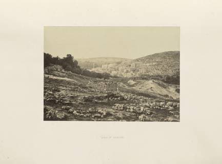 View at Hebron; Francis Frith (English, 1822 - 1898); Hebron, Palestine; 1857; Albumen silver print  Copyright: LCD2_180906_17482