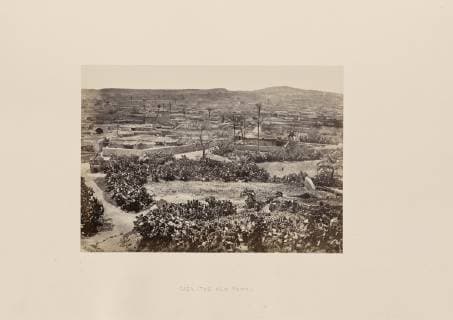 Gaza, The New Town; Francis Frith (English, 1822 - 1898); Gaza, Palestine; negative about 1858; print 1862; Albumen silver print  Copyright: LCD2_180906_18405