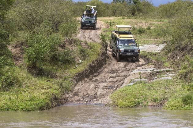 Querung des Flusses Mara, Kenia, Masai Mara Nationalpark crossing of the river Mara, Kenya, Masai Mara National Park BLWS517485 Copyright: xblickwinkel McPHOTO J.xBitzerx