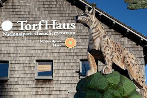 Auf dem Torfhaus im Harz steht das Nationalpark-Besucherzentrum des Nationalparkes Harz. Davor lädt ein Modell eines Luchses zu einem Besuch ein. Torfhaus Niedersachsen Deutschland *** On the peat house in the Harz Mountains stands the National Park Visitor Centre of the National Park Harz Davor invites a model of a lynx to visit a peat house Lower Saxony Germany