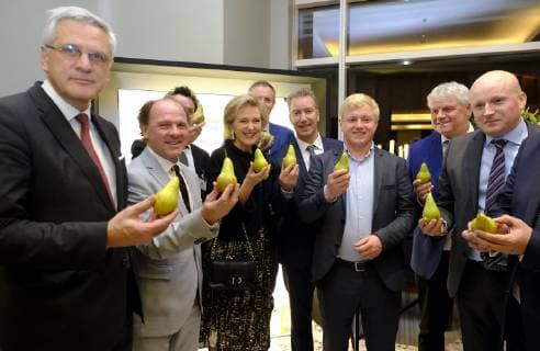 Vice-Prime Minister and Minister of Employment, Economy, Consumer Affairs and equal chances Kris Peeters, Flemish Minister of Employment, Economy, Innovation, Science Policy and Sports Philippe Muyters and Princess Astrid of Belgium pose for the photographer with pears during Promotion Event called Belgian Pears in Mexico, on the second day of a Belgian economic mission to Mexico, Monday 18 February 2019. Several federal and regional ministers accompany the princess on an economic mission to Mexico from 17 to 24 February.  ERICxLALMAND 05533588