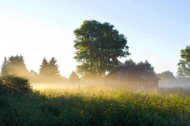 Morgennebel ueber einer Wiese, Deutschland, Hessen morning mist over a meadow, Germany, Hesse BLWS517049 Copyright: xblickwinkel McPHOTO A.xPulweyx