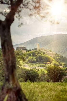 Landschaft um die Gemeinde San Severino in Marken, Italien, Marken, San Severino Landscape around the comune of San Severino in Marche, Italy, Marche, San Severino BLWS516960 Copyright: xblickwinkel McPHOTO M.xGannx