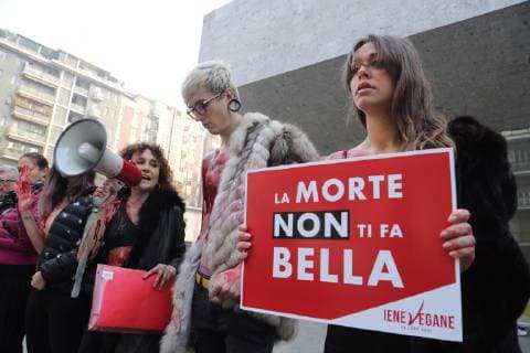 Flash mob animalist vegan hyenas in front of the entrance of the Max Mara fashion show in via Roentgen to protest against the use of fur by the brand (Massimo Alberico, Milan - 2019-02-21) p.s. la foto e utilizzabile nel rispetto del contesto in cui e stata scattata, e senza intento diffamatorio del decoro delle persone rappresentate  Copyright: xMassimoxAlbericox xIPAx xFOTOGRAMMAx 0