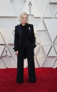 US actress Amy Poeher arrives at the red carpet of the 91th Academy Awards, in Hollywood, California, United States, 24 February 2019. 91st Academy Awards in Hollywood !ACHTUNG: NUR REDAKTIONELLE NUTZUNG!  Copyright: xEMILIOxFLORESx AME9004 20190225-636866547160510850
